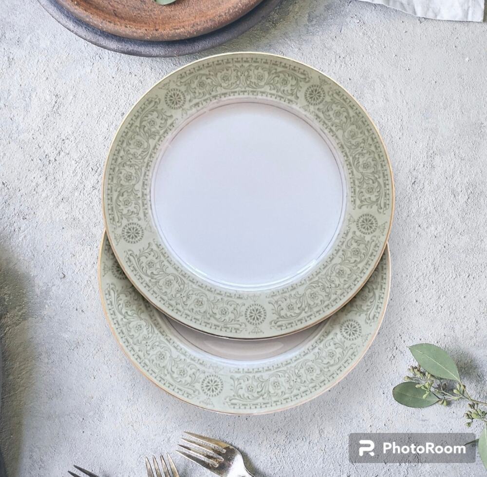 Set of 2 Mikasa Premiere Della Robbia 9366 Dinner Plates